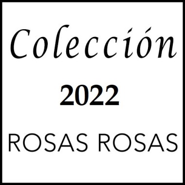 imagen_categoria6