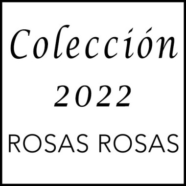 Vestidos de Fiesta 2022